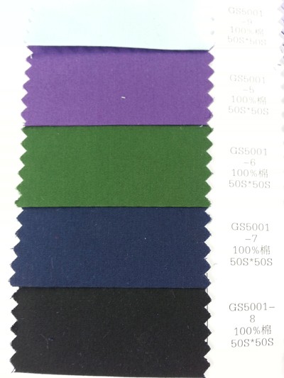 DG-LIFG GS5001 側面照